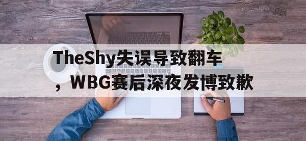 半岛体育官网-TheShy失误导致翻车，WBG赛后深夜发博致歉