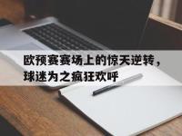 半岛体育APP-欧预赛赛场上的惊天逆转，球迷为之疯狂欢呼