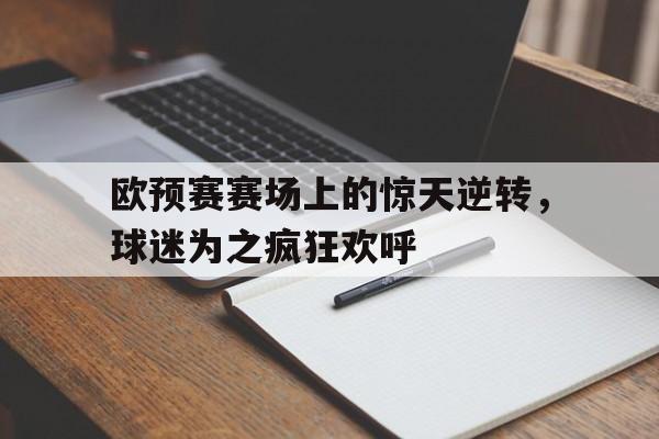 欧预赛赛场上的惊天逆转，球迷为之疯狂欢呼